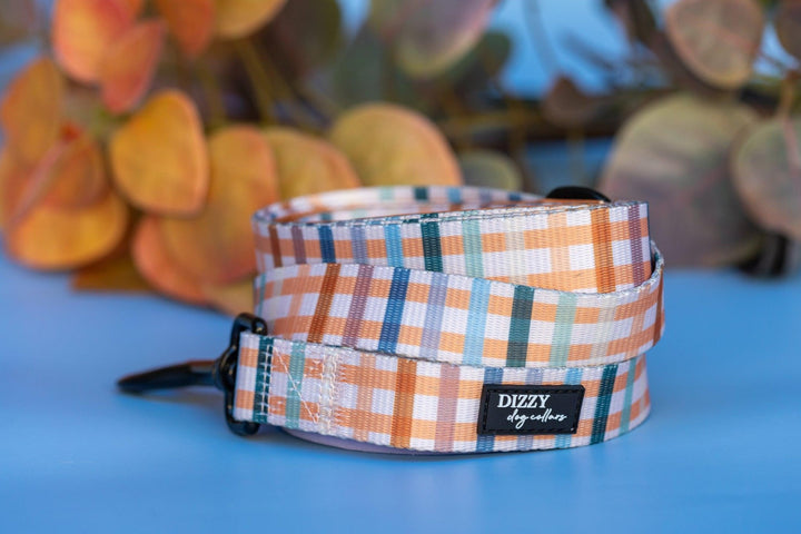 Vintage Gingham Dog Leash | Dog Lead-Dizzy Dog Collars