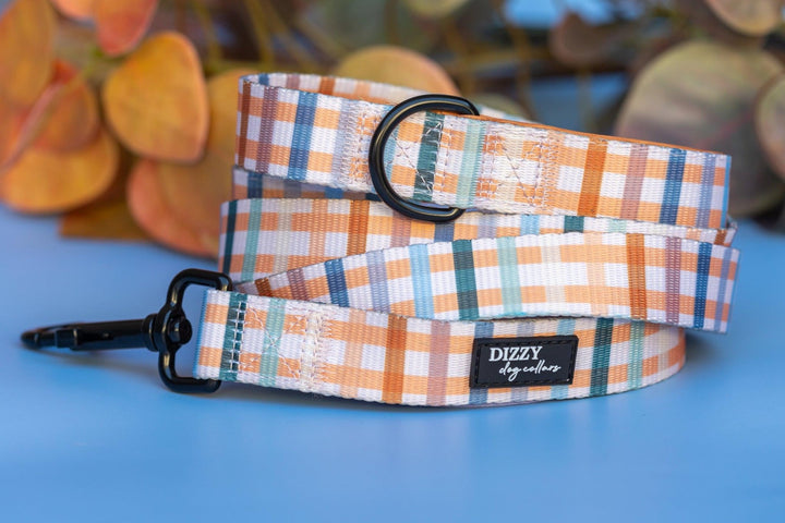 Vintage Gingham Dog Leash | Dog Lead-Dizzy Dog Collars