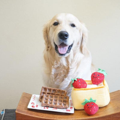 ZIPPY BURROW - Strawberry Waffles-Dizzy Dog Collars-Dizzy Dog Collars
